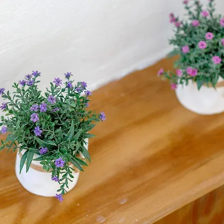 Soul Σίμπενικ